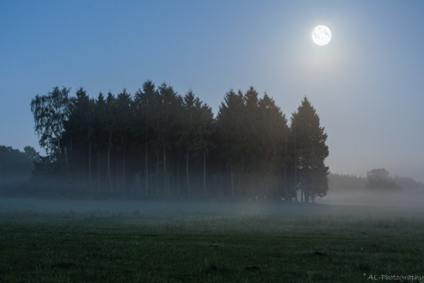 Moon over fog